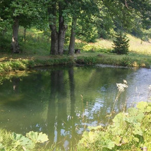 Zbójnicki Ostęp-Nocleg Trapera, 斯特罗涅-希隆斯克 — 照片 3