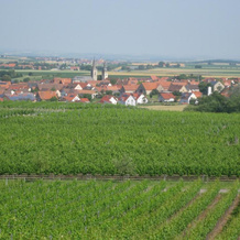 Apartments Bed & Breakfast Brückner, Willanzheim — photo 4