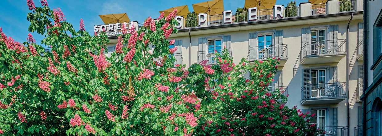 Sorell Boutique-Hotel Speer Rapperswil, 拉珀斯维尔-约纳 — 照片 1