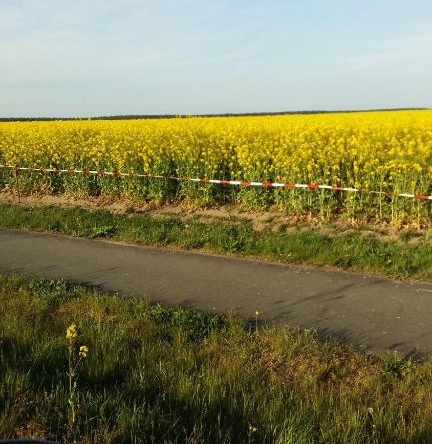 Natur-Freude-19p, Nennhausen — photo 1