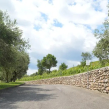 Casa Vacanze Cascina Pio IX, 埃尔布斯科 — 照片 3