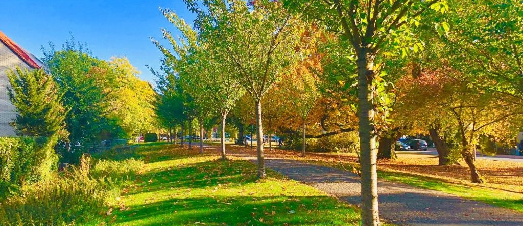 Wallstrasse 2, 施塔特哈根 — 照片 1