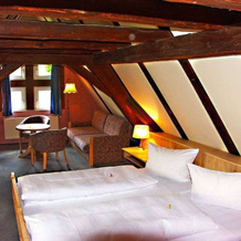 Gasthof Goldener Adler, Вайссенбург — фото 4