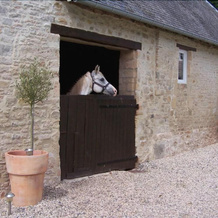 Gite Ferme d'Ervée de Saint-Roch, Isigny-sur-Mer — photo 4