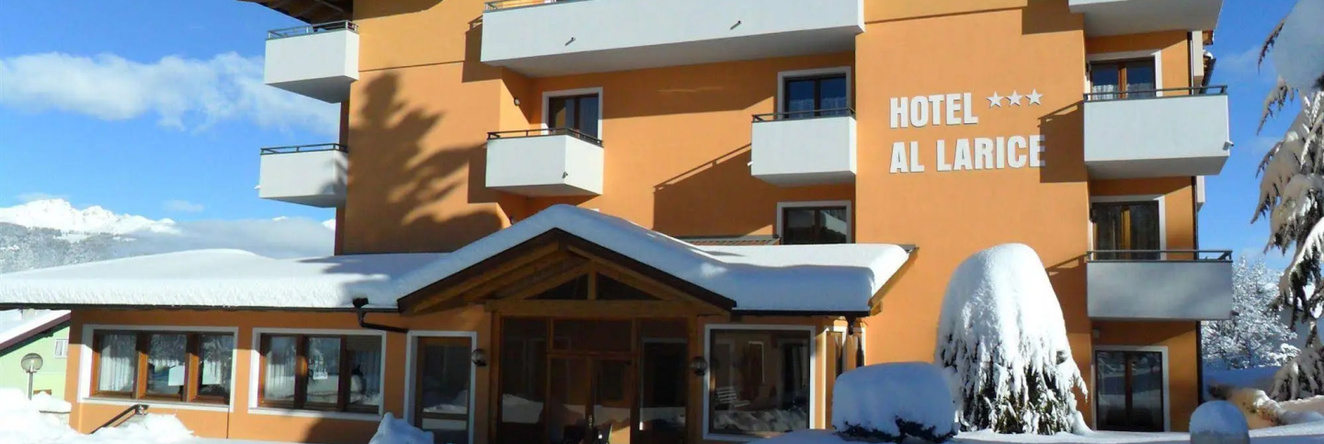 Hotel e Appartamenti Al Larice, 龙佐内 — 照片 1