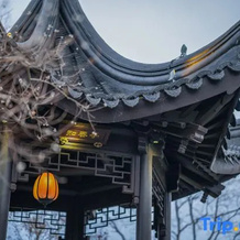 Floral Hotel·peach Blossom Spring Hotel, Хуанган — фото 2