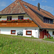 Luscious Apartment In Rickenbach With Free Wifi, Рикенбах — фото 4