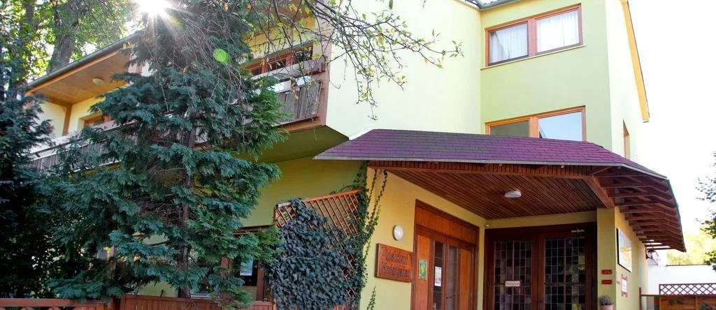 Appartementhaus Witzmann, Bad Voeslau — photo 1