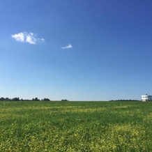 Farm-Camping Nikola-Lenivets, 兹维日迪 — 照片 2