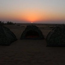 Royal Desert Safari Resort And Camp, Покхран — фото 4