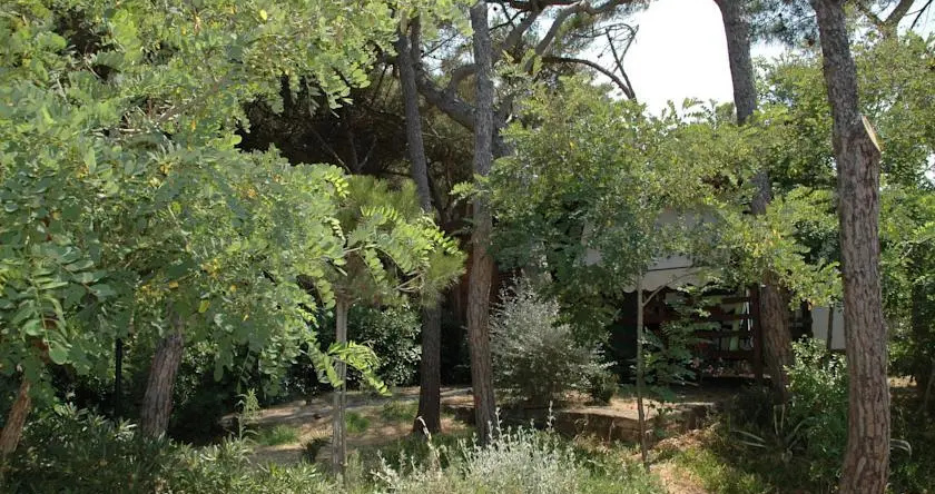 Camping Pionier Etrusco, 蒙塔尔托-迪卡斯特罗 — 照片 1