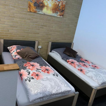 Mariposa 5 incl Pool & Sauna, 巴特哈尔茨堡 — 照片 3