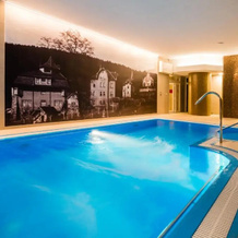 Spa Hotel Vila Antoaneta Luhacovice, Лугачовице — фото 4