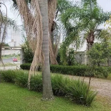 Pousada ESQUINA DO ATLANTICO SUL, 图巴朗 — 照片 3