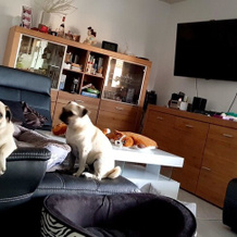 Apartment With 2 Bedrooms in Bevaix, With Wonderful Lake View, Pool Ac, 拉格朗德贝罗什 — 照片 2