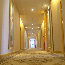 Vienna Hotel (Luhe), Шаньвэй — фото 4
