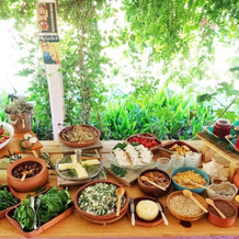Kocabahçe Glamping, Кумлюбюк — фото 3