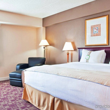 Holiday Inn Rolling Meadows-Schaumburg Area, Роллинг Медоус — фото 2