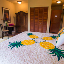 Hale Ho'o Maha Bed & Breakfast, Wainiha — photo 4