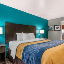 Comfort Inn Sun City Center - Ruskin - Tampa South, 太阳城中心 — 照片 2