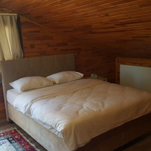 Roof Garten Hotel, 波洛内兹柯伊 — 照片 3