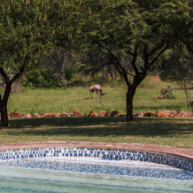 Birdsong Cottages, Modimolle — photo 4
