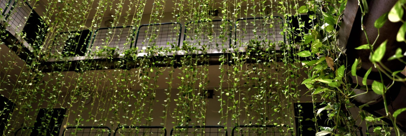Darwin City Studio, 达尔文 — 照片 1