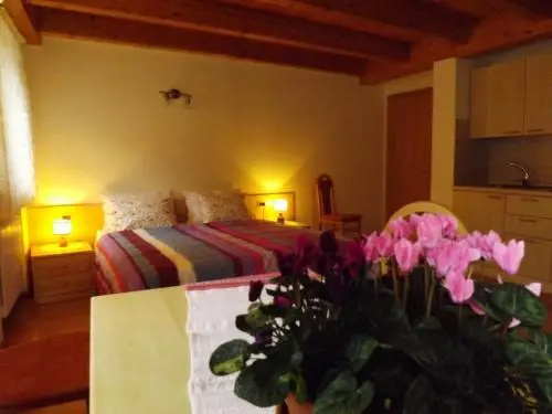 Albergo Alpina, 卡斯泰洛泰西诺 — 照片 1