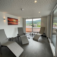 Hotel Schlossberg Wehingen, 韦欣根 — 照片 4