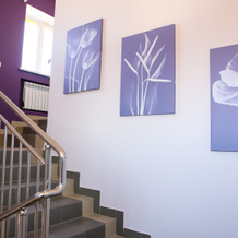 Motus Hotel, Cheboksary — photo 3