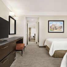 Embassy Suites By Hilton Chicago North Shore Deerfield, Дирфилд — фото 3