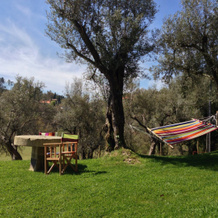 Quinta do Rapozinho Guest House, 卡贝塞拉斯德巴斯托 — 照片 5