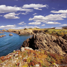 The Sea Ranch Lodge, 海牧场 — 照片 3