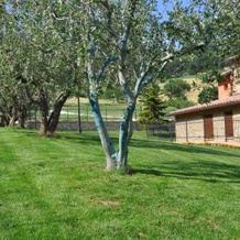 Country House Le Grazie, Серра-Сан-Квйрико — фото 3