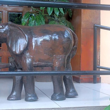 Vienna Woods Hotel Nakuru, 纳库鲁 — 照片 3