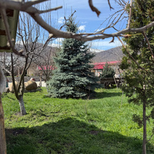 Vibe Vanadzor Hotel, 瓦纳佐尔 — 照片 4
