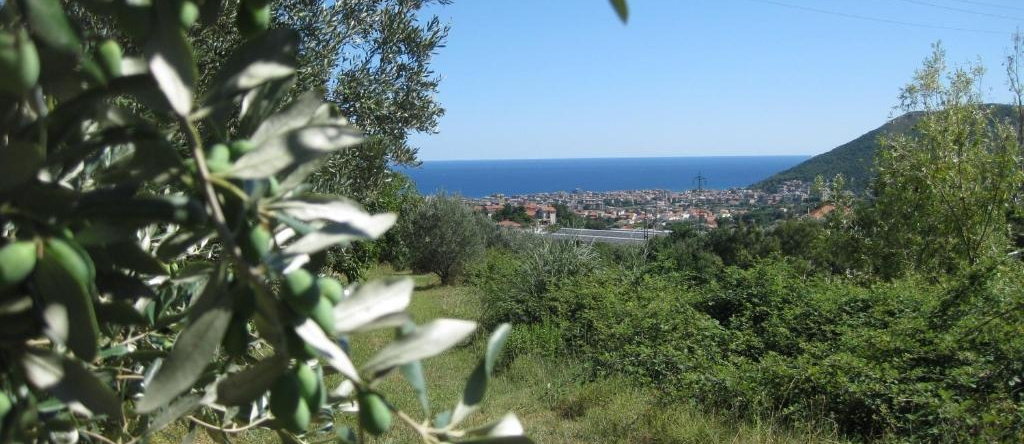 Agriturismo Peterpan, Бойссано — фото 1