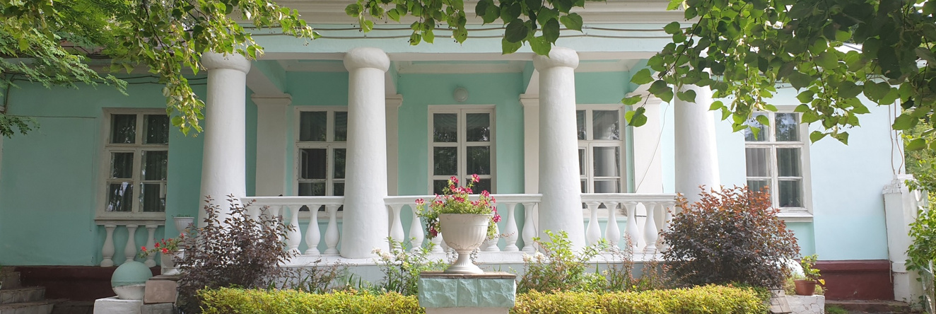 Otradnyij Guest House, 沃特金斯克 — 照片 1