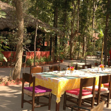 Kanha Jungle Lodge, Канья — фото 3