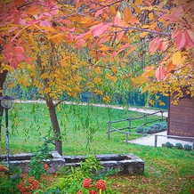 Chalet Vacanze Il Daino, 莱奥内萨 — 照片 5