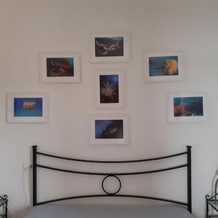 Campese Apartments, Isola del Giglio — photo 3