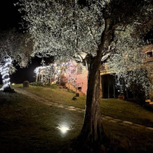 Tenuta Sant'Apollinare, 蒙达伊诺 — 照片 2