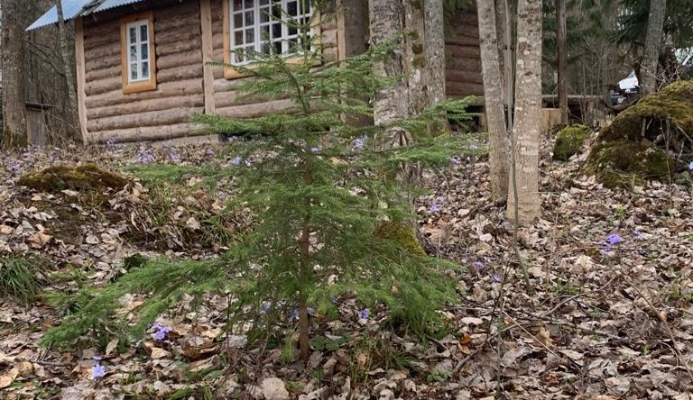 Бунгало Изба Рыбака Хутор Каменюк, Гнеталово — фото 1