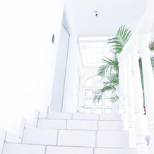 Amazing House in Manzanilla Beach- Entire House, 圣克鲁斯德米拉马尔 — 照片 5