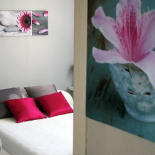 Rosa, Bormes-Les-Mimosas — photo 2