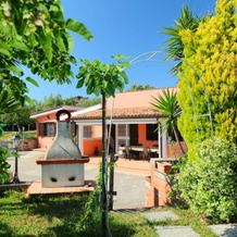 Locazione turistica Villa Caiterzi, Lanuvio — photo 4