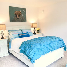 Puffin Place Vacation Rental, 科迪亚克国家野生动物保护区 — 照片 2