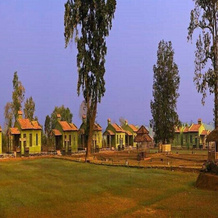 Bastar Jungle Resort, Jagdalpur — photo 2