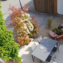 Ferienwohnung Vikolisa, 巴特申博恩 — 照片 4