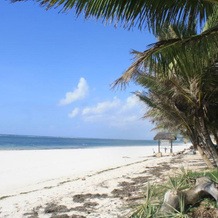 Diani Marine Divers Village, Msambweni — photo 3